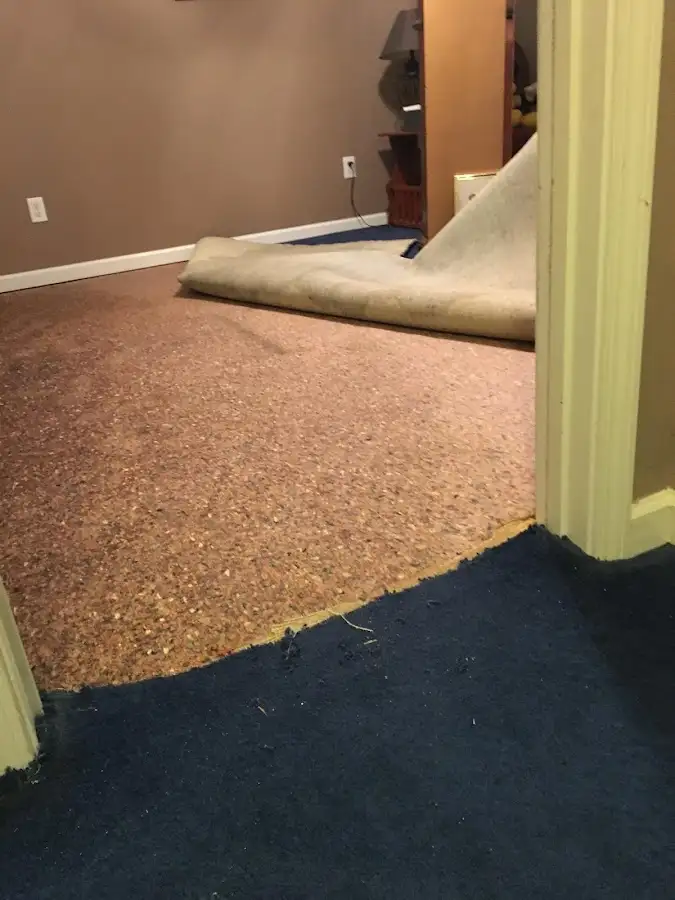 Carpet pad removal revealing water damage during Drying & Dehumidification in Shepherdsville