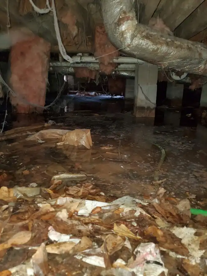 Crawl space flood assessment for Leak Detection & Repair in Shepherdsville